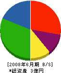 ジャパンシステム 貸借対照表 2008年6月期