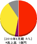 日本システムサービス 損益計算書 2010年6月期