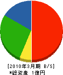 岩田土木興業 貸借対照表 2010年3月期