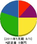 日本地下技術 貸借対照表 2011年5月期