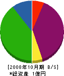 豊工業 貸借対照表 2008年10月期