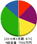 中嶋水道 貸借対照表 2010年3月期