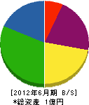 田中土建 貸借対照表 2012年6月期