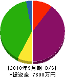橋本 貸借対照表 2010年9月期