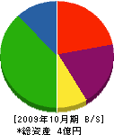 上岡谷工務店 貸借対照表 2009年10月期