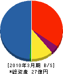 テクノジャパン 貸借対照表 2010年3月期