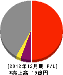 日本カーボンエンジニアリング 損益計算書 2012年12月期