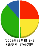 小沢美装 貸借対照表 2009年12月期
