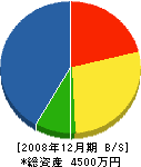 金田一組 貸借対照表 2008年12月期