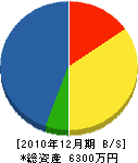 三浦電機工業所 貸借対照表 2010年12月期