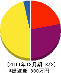 共進建設 貸借対照表 2011年12月期 共進建設 貸借対照表 2011年12月期