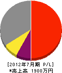 上野電業 損益計算書 2012年7月期