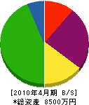 藤沢鉄工 貸借対照表 2010年4月期