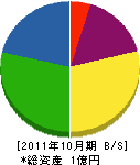 稲田電機 貸借対照表 2011年10月期