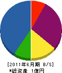 和田組 貸借対照表 2011年6月期