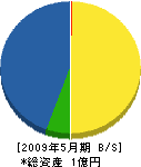 石川組 貸借対照表 2009年5月期