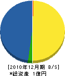 川戸無線 貸借対照表 2010年12月期