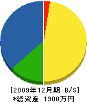 辰巳電気工事 貸借対照表 2009年12月期