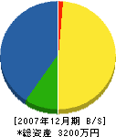 栫井電気工事 貸借対照表 2007年12月期