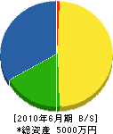 久保田土木 貸借対照表 2010年6月期