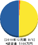 柴坂技建 貸借対照表 2010年12月期 柴坂技建 貸借対照表 2010年12月期