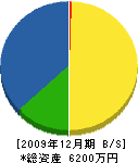 戸田沢建築 貸借対照表 2009年12月期