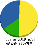 丸節建設 貸借対照表 2011年12月期 丸節建設 貸借対照表 2011年12月期