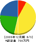 柴田造園 貸借対照表 2009年12月期