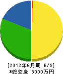 大川建設 貸借対照表 2012年6月期