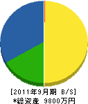 朝倉管工ポンプ店 貸借対照表 2011年9月期