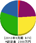飯田造園 貸借対照表 2012年9月期