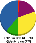 内田電気 貸借対照表 2012年12月期