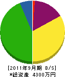 坂井設備 貸借対照表 2011年9月期