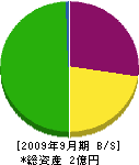ヤマネ 貸借対照表 2009年9月期