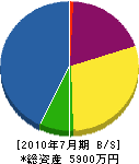 田中工作所 貸借対照表 2010年7月期