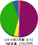 大阿蘇電総 貸借対照表 2010年3月期