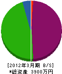 木村配管設備工業所 貸借対照表 2012年3月期