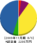 長谷川商店 貸借対照表 2009年11月期