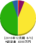 筑紫野ホームセンター 貸借対照表 2010年12月期