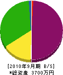 キムラ産業 貸借対照表 2010年9月期