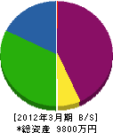 川端電気通信工事 貸借対照表 2012年3月期