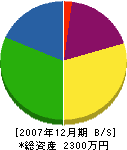 岩崎工務店 貸借対照表 2007年12月期