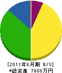 石川電設 貸借対照表 2011年6月期