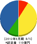 菅組 貸借対照表 2012年6月期