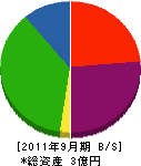 ツキヂ索道商事 貸借対照表 2011年9月期