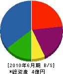 坂田工業 貸借対照表 2010年6月期