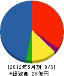 田村工務店 貸借対照表 2012年5月期