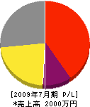 匹田硝子塗料店 損益計算書 2009年7月期