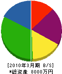 竹田住宅設備 貸借対照表 2010年3月期