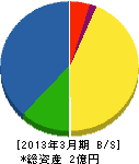 丸山電業社 貸借対照表 2013年3月期